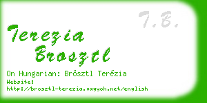 terezia brosztl business card